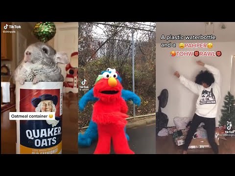 Oatmeal Container Wooden Bowl Elmo TikTok Compilation