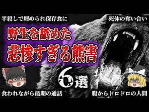 【総集編】「野生」との距離感を間違ったために大惨事！満腹でも人を襲う『熊害事故』6選「三毛別羆事件・十和利山熊襲撃事件・石狩沼田幌新事件・カムチャッカ半島の熊害・札幌丘珠事件・秋田八幡平クマ牧場事件」