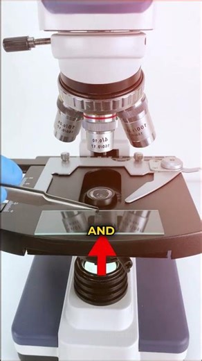 What's Really Inside the Dirt of Your Fingernails??