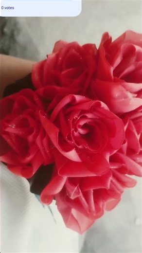 buke making with ribbon#craft#crafter Rudra