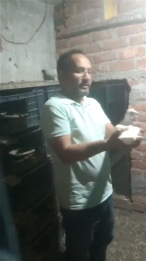 Live highlight