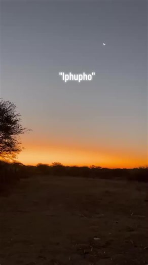 Exploring Amapiano with Iphupho in South Africa