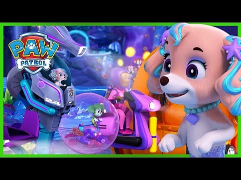 Aqua Pups save the Underwater Race! | PAW Patrol | Cartoons for Kids Compilation