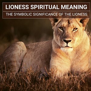 Lioness Spiritual Meaning: Unleashing The Power And Guidance