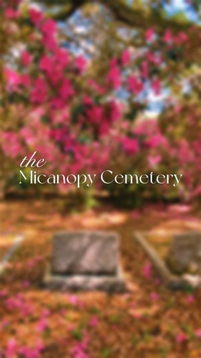 The Micanopy Cemetery was first established in 1826 and is one of the oldest cemeteries in Florida that is still in use. It's also one of the most beautiful cemeteries to visit in Spring when the azaleas are in full bloom. | The Forgotten South