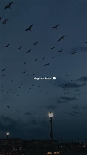 Choopultho | Radha (2017) Song 🎧 #Choopultho #RadhaSong #TeluguMusic #SlowfyTunes