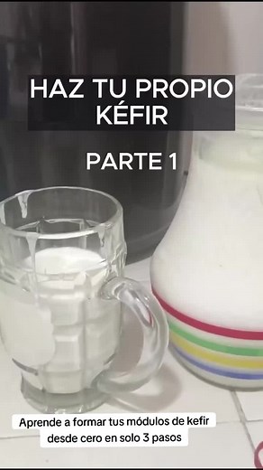Cómo formar tus módulos de kefir desde cero en 3 pasos