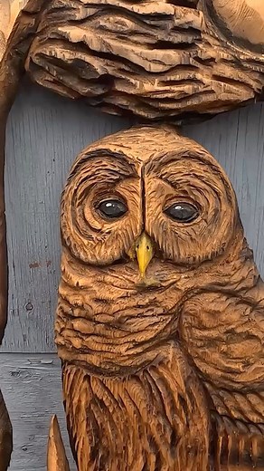 3.5K views · 455 reactions | Awesome Wood Owl Sculpture Carved #wood #owl #sculpture #woodcarving #birds #carving | Ryan Cook Carvin | Facebook