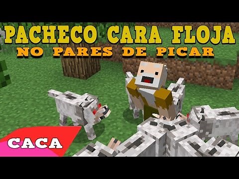PACHECO CARA FLOJA - No pares de picar | Canción Minecraft