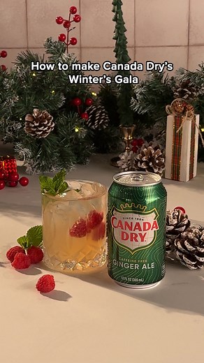 102 reactions · 381 shares | Sophisticated, refreshing, and perfectly fizzy with Canada Dry, it's your ticket to a festive night. | Canada Dry | Facebook
