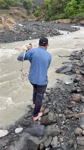 Rainy Day Fishing: Net Cast, Fish Escapes!