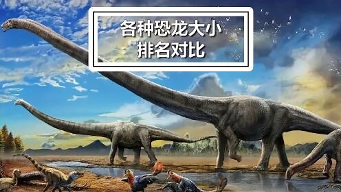 各种恐龙的体型 大小排名对比