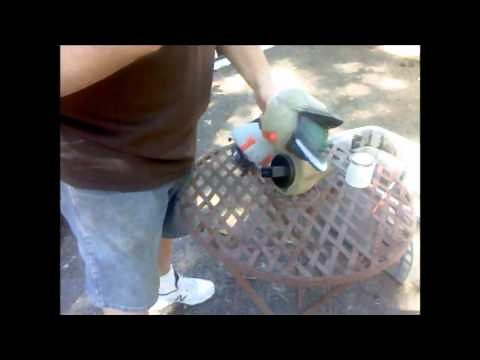 Adding Motion to a Duck Decoy Spread