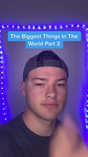 Exploring Timber Wolves: Nature's Majestic Creatures