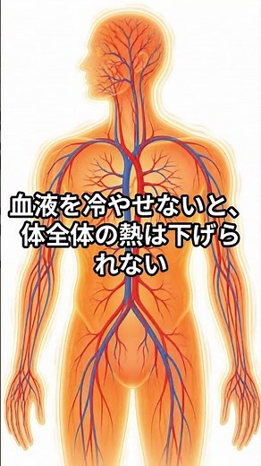 熱が出ておでこに冷却シート、それ意味ないよ
