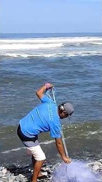 Cast your net into the middle of a swell… and the ocean rewards you with hundreds of fish!