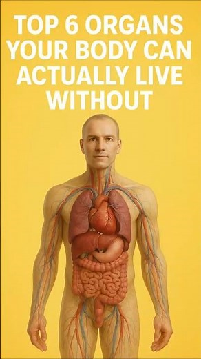 Top 6 Organs Your Body Can Actually Live Without #facts #science
