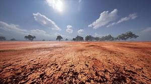 African savanna landscape with acacia trees