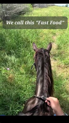 Ivy Starnes - Ivy's Glide Gait on TikTok