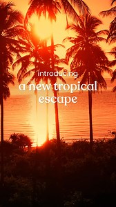 340K views | With Pink Sands and new Pink Sands Glow, your perfect summer scents are here. Shop now. | Yankee Candle | Facebook