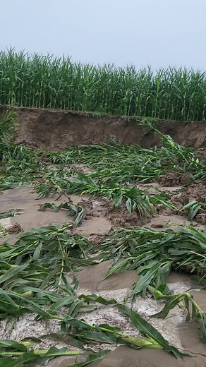 Understanding Ditches and Farm Life in Nebraska