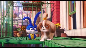 644K views · 2.7K reactions | She ready. Welcoming Tiffany Haddish as Daisy in #TheSecretLifeOfPets2. In cinemas May 24. | The Secret Life Of Pets | Facebook