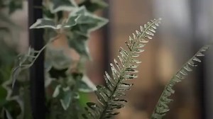 7.9K views · 1K reactions | “Always discerning with her choices in all aspects of her life; she is set to represent Anchor Land’s elevated brand of excellence.” ✨ Congratulations on your new endorsement, Kathryn Bernardo! 勺 Thank you for the love and trust, Anchor Land! #KathrynForAnchorLand #KathrynBernardo #AnchorLand #AnchorLandProperties | Kathryn Bernardo's KATHTropa Fans Club | Facebook