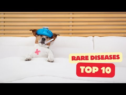 10 Rare Diseases You Need to Know About! 🤧🦠