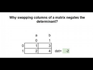 Why swapping columns or rows of a matrix negates the determinant? #maths #matrix #algebra #cs