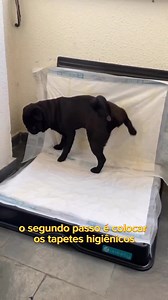 2.1K views | Bora para algumas dicas de adaptação ao Weasy com a...