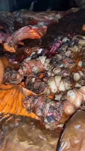 1.6K views · 11 reactions | The Irresistible Dibi – Who Does It Best?...