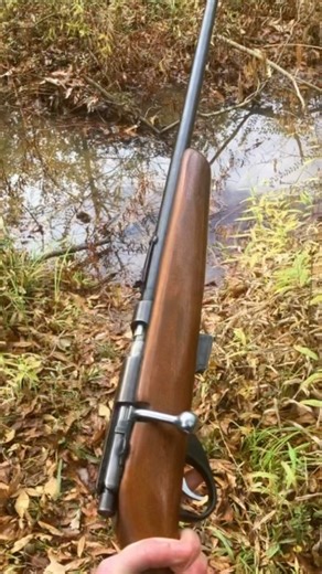 JC Higgins bolt action rifle #shorts #foryou