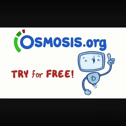 Understanding Immunology: The Immune Response Explained