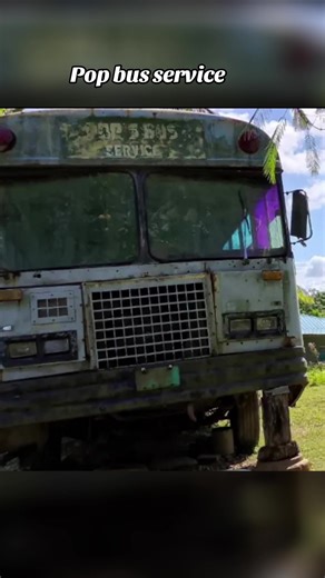 Belize bus on TikTok