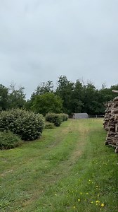 31K views · 1.2K reactions | Etienne LGF on Reels | Facebook