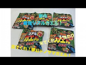 #1【宝島社】新作の最強リアルカエルを開封していく！