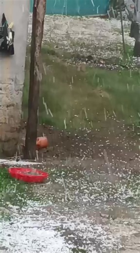 9K views · 109 reactions | Khudaya Raham  Hailstorm Devast_ates Bandipora #Apple #Orchards in R_uins. | Aawaz e kashmir | Facebook