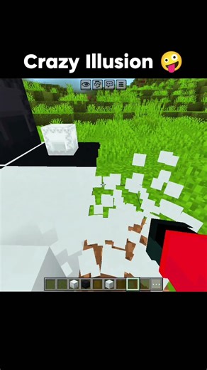 Minecraft Illusion Moment 🫣