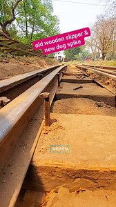 2.1M views · 6.8K reactions | New dog spike #fb #new #dog #spike #Bangladesh #railway #railtrack #viralpost2025 #reelsfbシ #fbreelsfypシ゚ #fbreelsvideo #viralreelschallenge #reelschallenge #derailed #Zone #express #train #travel #foryouシ #highlight #follower #follow | Shoriful Islam | Facebook