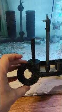 Review. Airlift. Aquarium Filter. AliExpress. Bio-loading #aliexpress #review #aquarium
