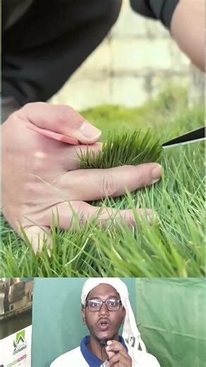 Top Learning Tools for Tech Enthusiasts 🔥🚀 | Amazing Smart Gadgets #shorts #gadgets #tech #facts