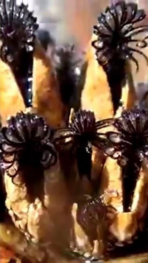 Barnacle: the DIFFERENT Types 🌰 Animal Fact Files #facts #animals #wildlife