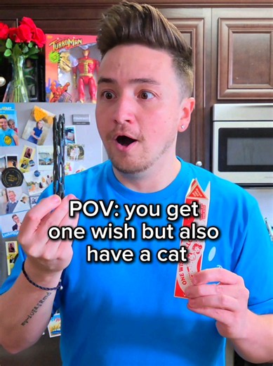 well that was a CATastrophe...😼😳 #catsoftiktok #cat #comedy #funny #foryoupage