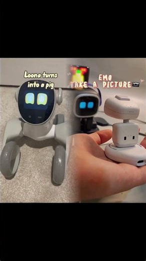 Loona turns into a pig - #robot #robots #pet #pets #dog #animals #meme