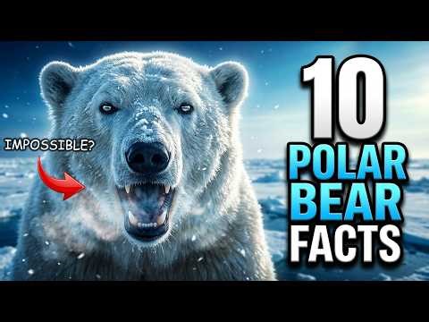 Ultimate Polar Bear Guide: The Majestic Predators of the Arctic Ocean