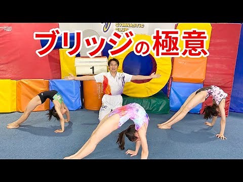 【ブリッジの初心者からプロまで】ブリッジをやってみたい、ブリッジが上手くなりたい人必見