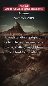 1.3K views · 20 reactions | #Scary encounter in the #Arizona #desert - this isn’t the first time I’ve heard of these massive canines keeping pace with a car! #skinwalker #cryptid #cryptids #cryptozoon | Campfire Stories | Facebook