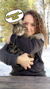 113K views · 1.7K reactions | The healing power of cat purrs | • Heals our bones, muscles, tendons and ligaments • Lowers stress and blood pressure • Reduces risk of heart attack | Cats can also heal themselves with their purrs  | Do you worship your cat like they did in ancient Egypt? I do!  | #cats #purr | Sama Louisaa | Facebook