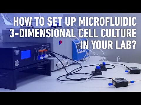 How to set up microfluidic 3-Dimensional Cell Culture in your lab?