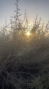 ชอบจังพระอาทิตย์ขึ้น ทุกคนมารีบพลังบวกด้วยกันค่ะ | Nim Persia